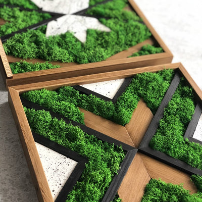 Prírodná dekorácia / machový obraz